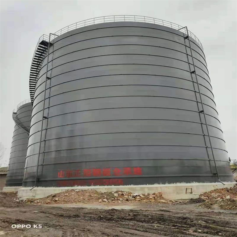 红毛镇3万吨大型钢板库