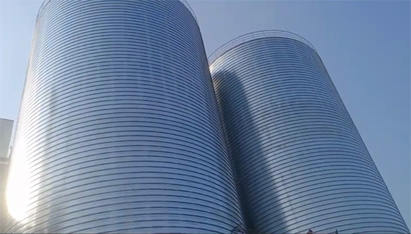 红毛镇2座混凝土高架卷板仓